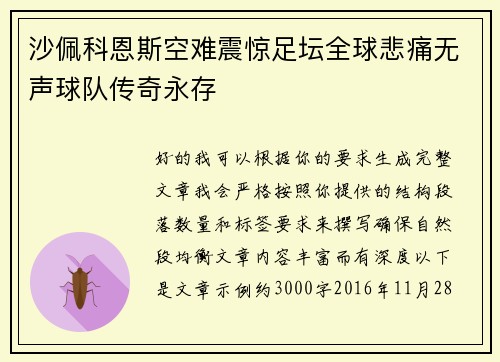 沙佩科恩斯空难震惊足坛全球悲痛无声球队传奇永存